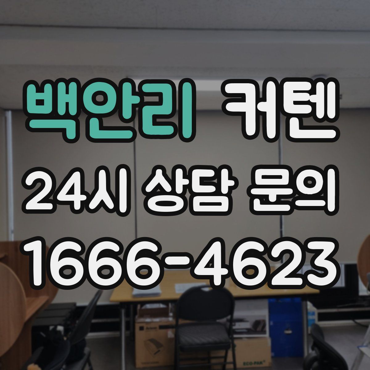 백안리 커텐