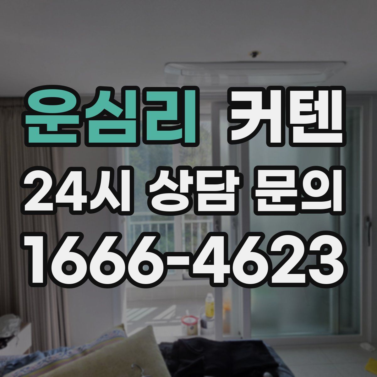 운심리 커텐