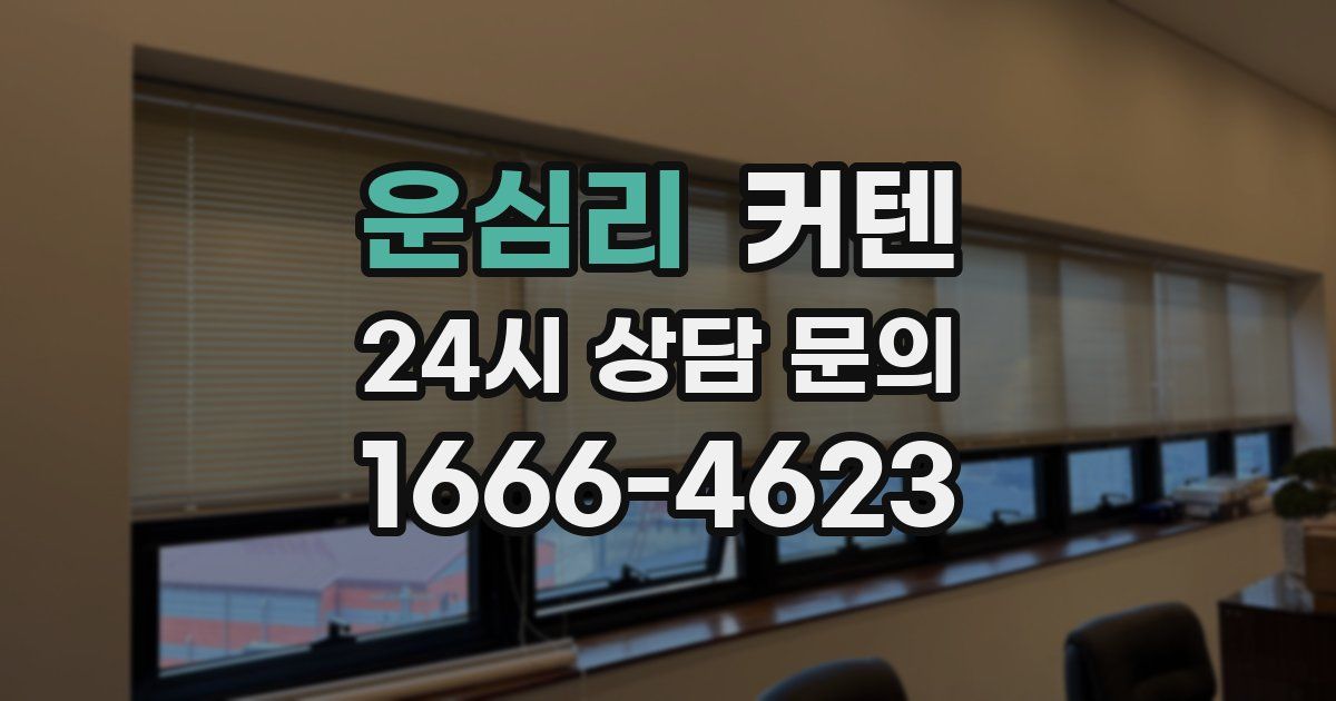 운심리 커텐