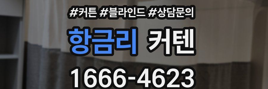 항금리 커텐