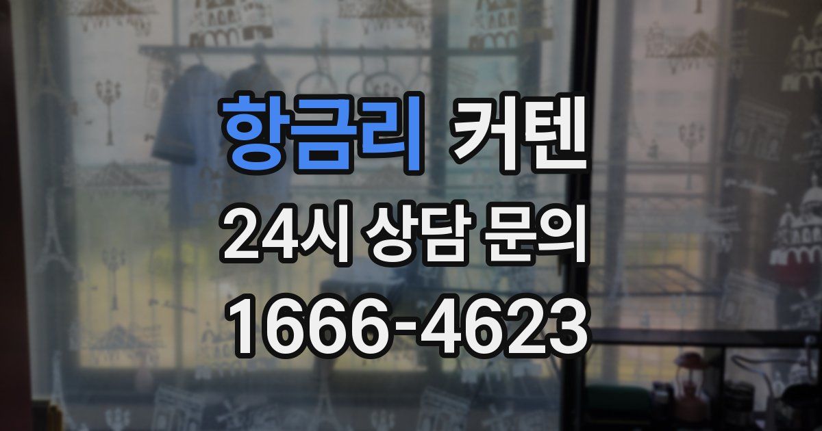 항금리 커텐