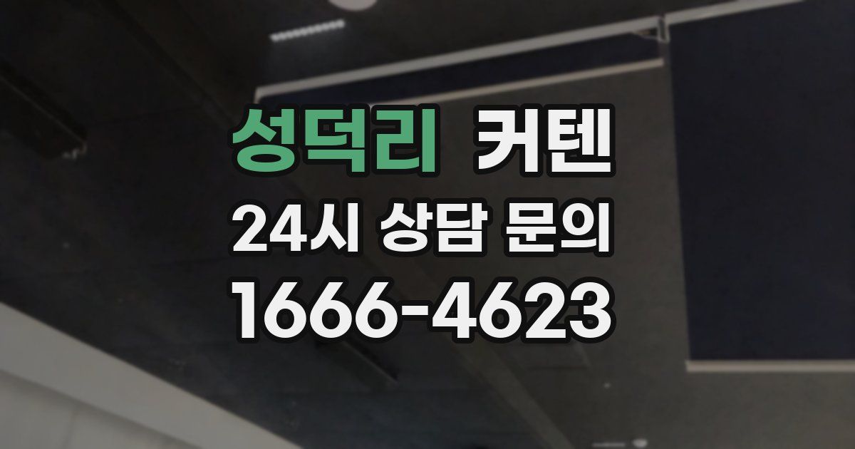 성덕리 커텐