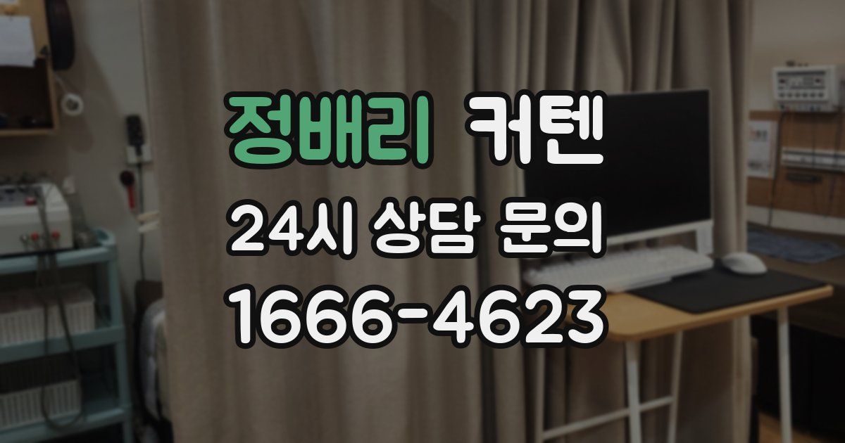 정배리 커텐