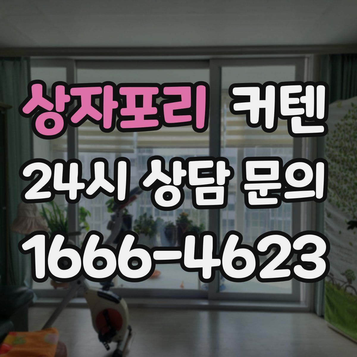 상자포리 커텐