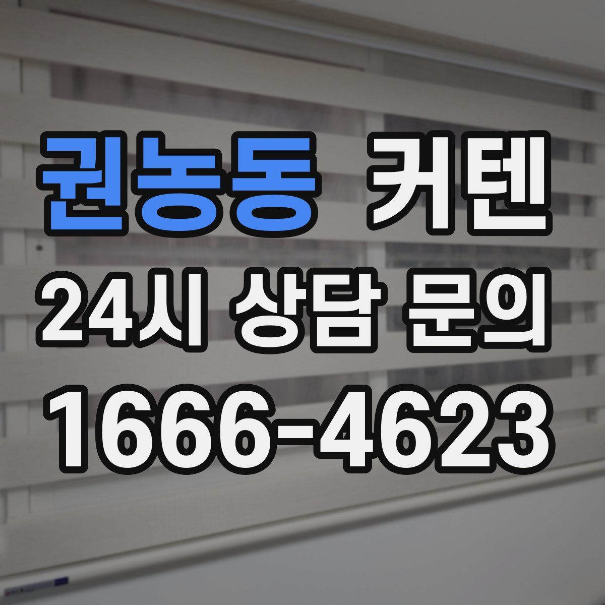 권농동 커텐