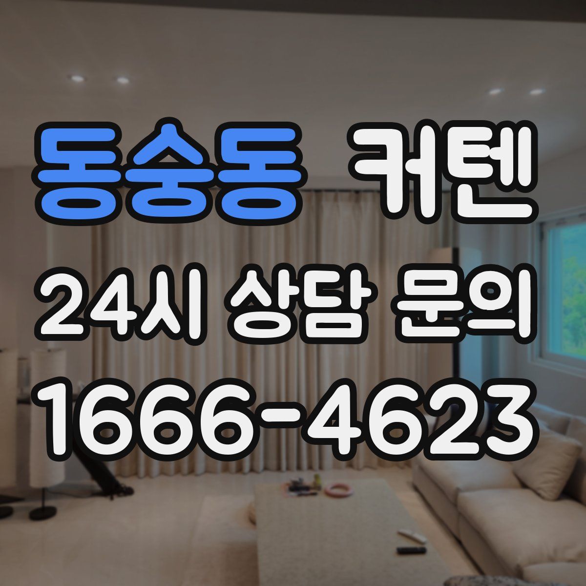 동숭동 커텐