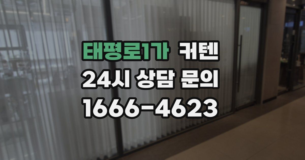 태평로1가 커텐