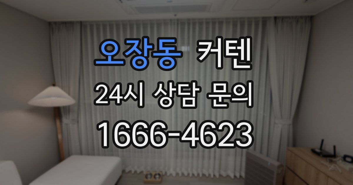 오장동 커텐
