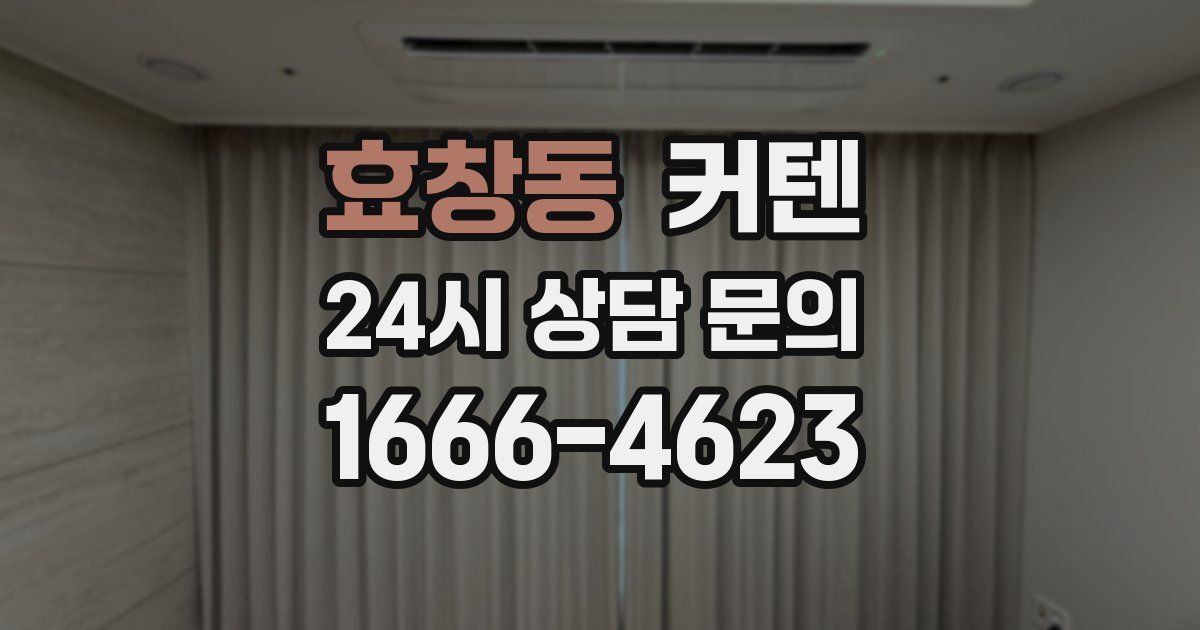 효창동 커텐