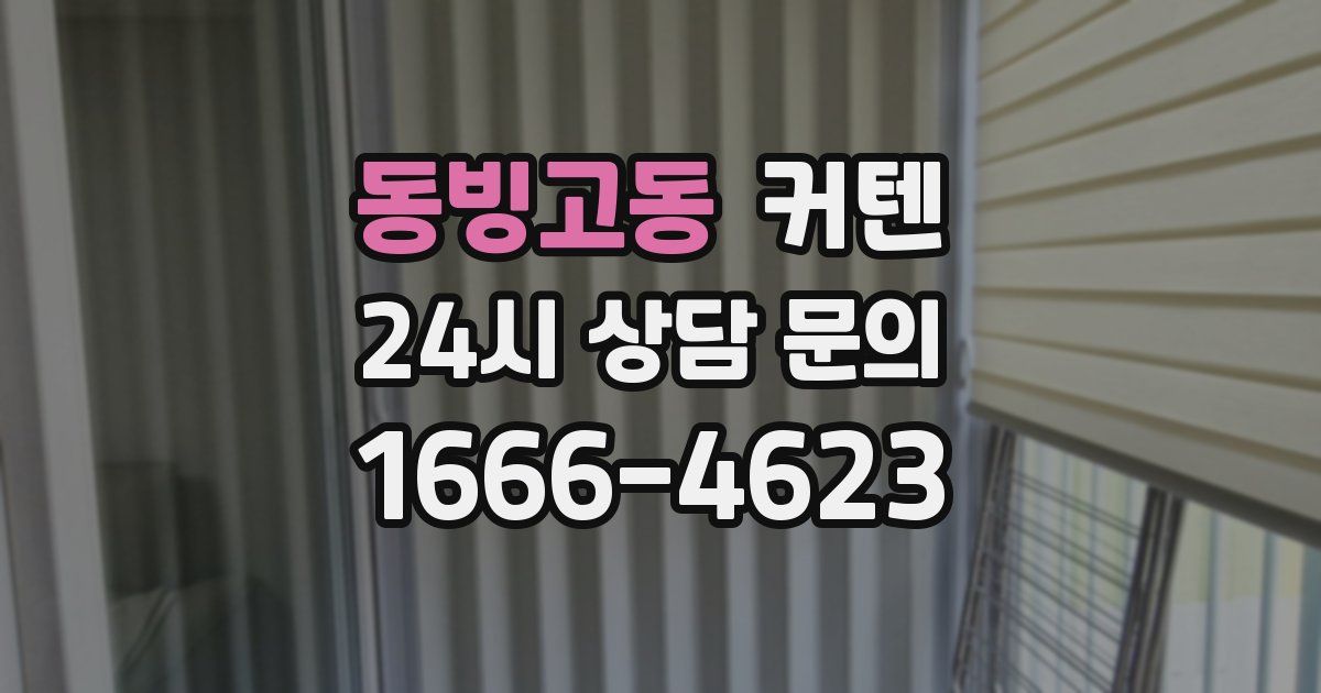 동빙고동 커텐