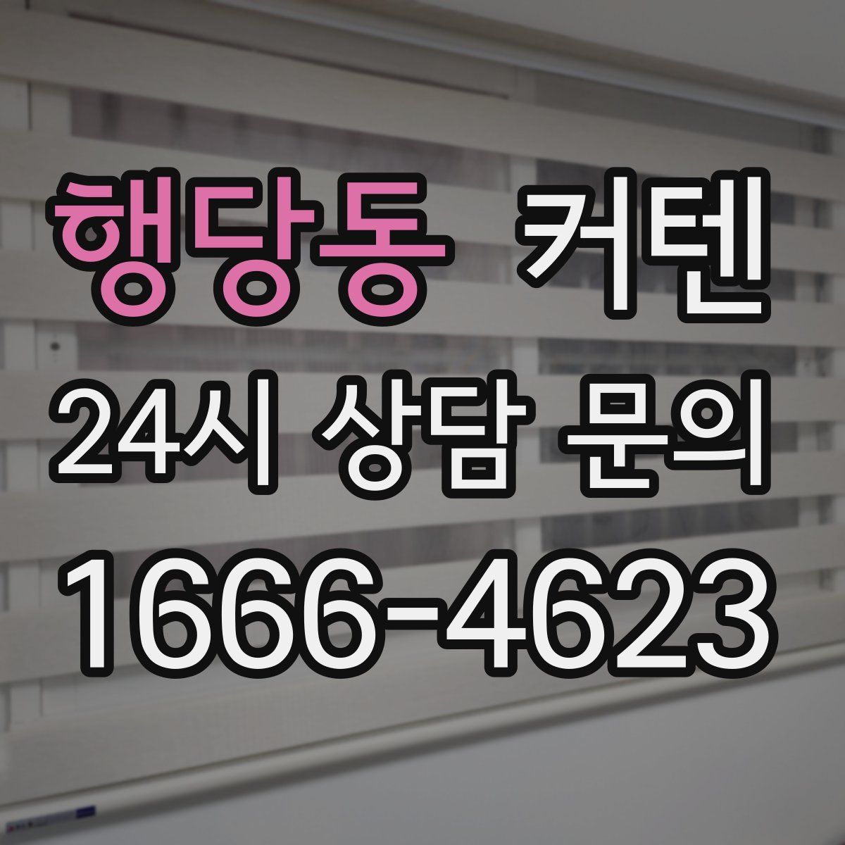 행당동 커텐