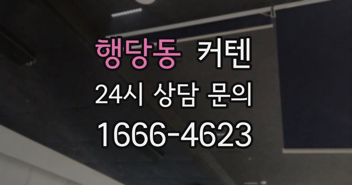 행당동 커텐