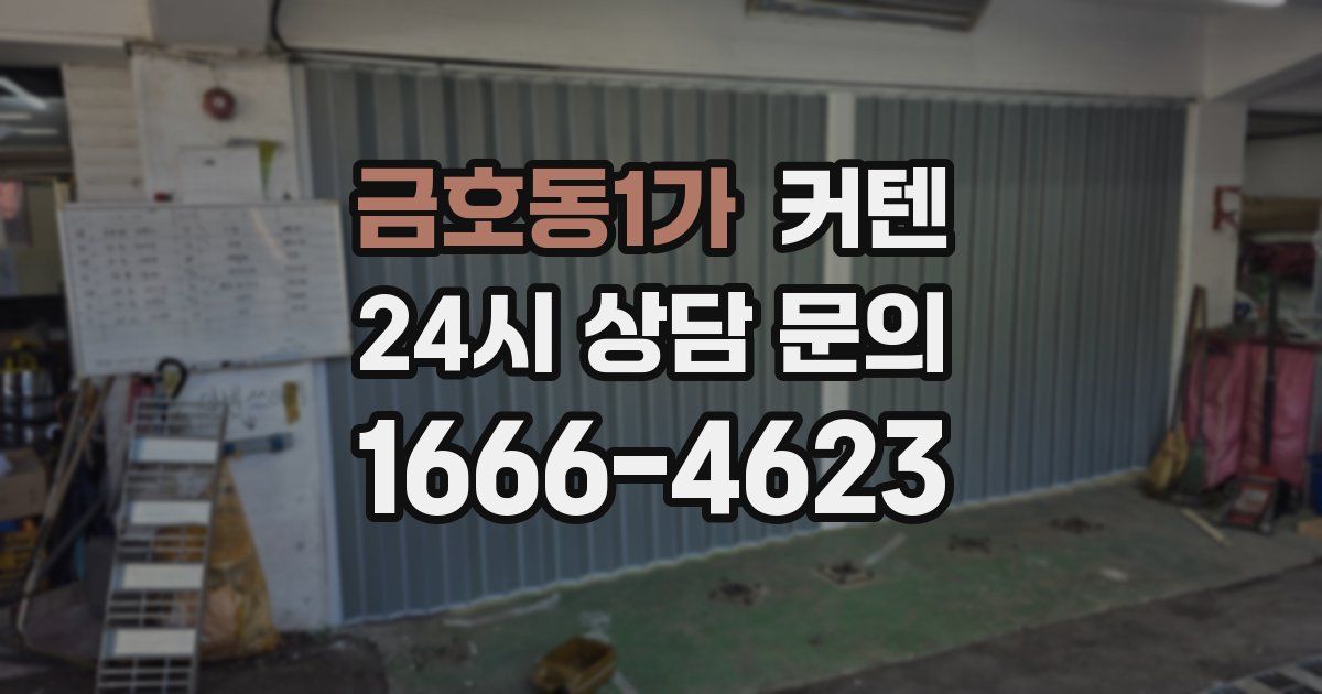 금호동1가 커텐