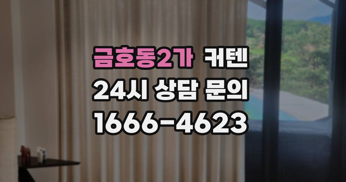 금호동2가 커텐