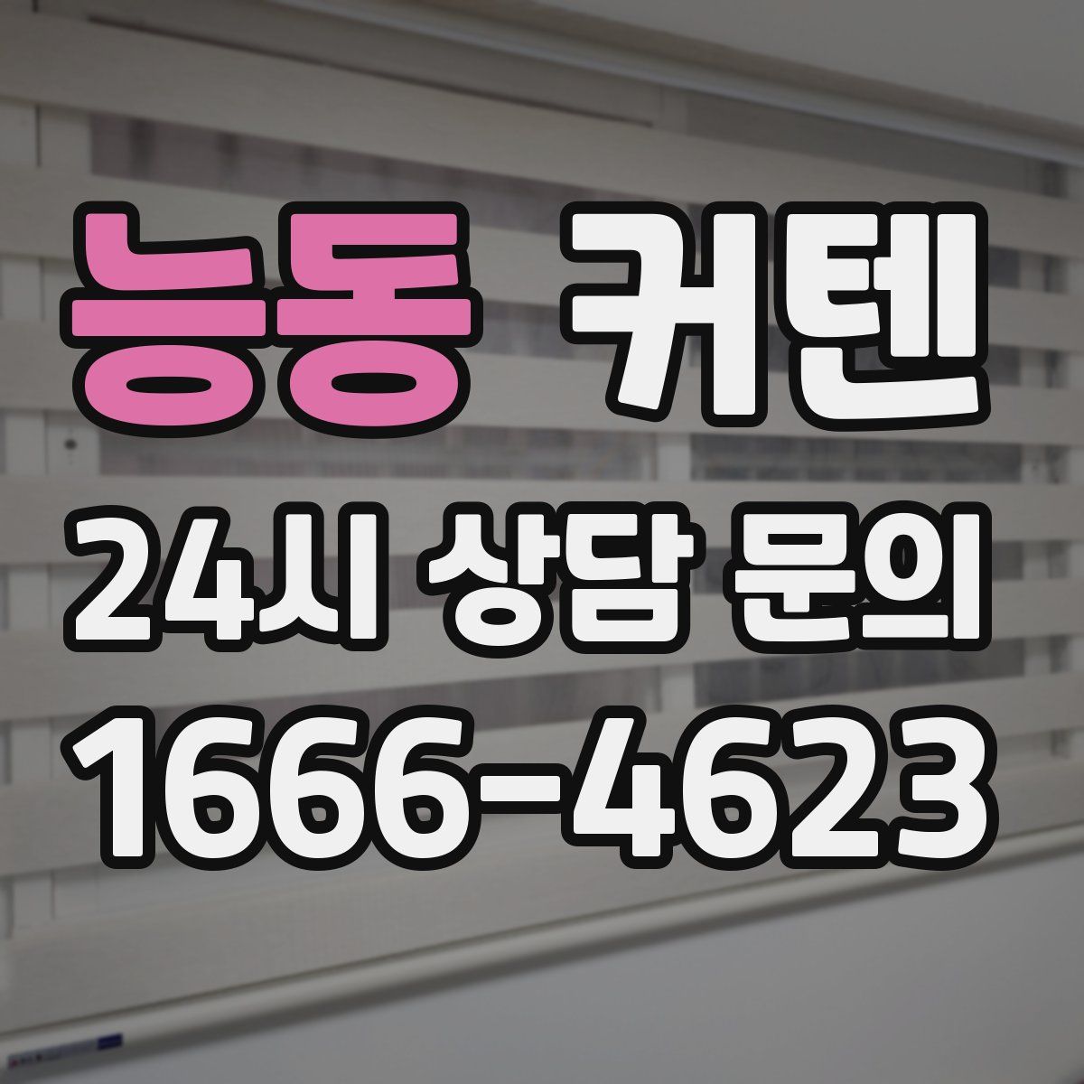 능동 커텐