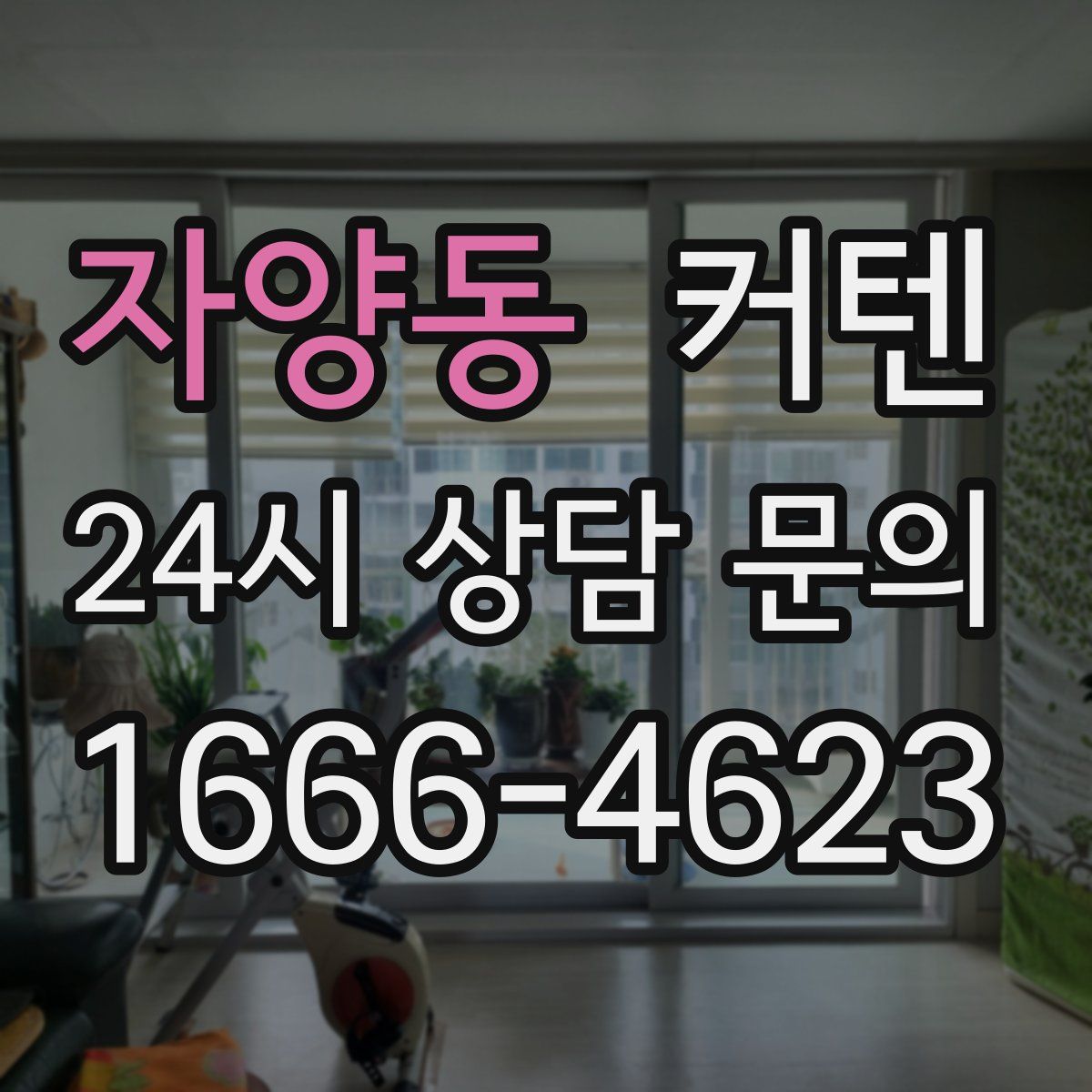 자양동 커텐