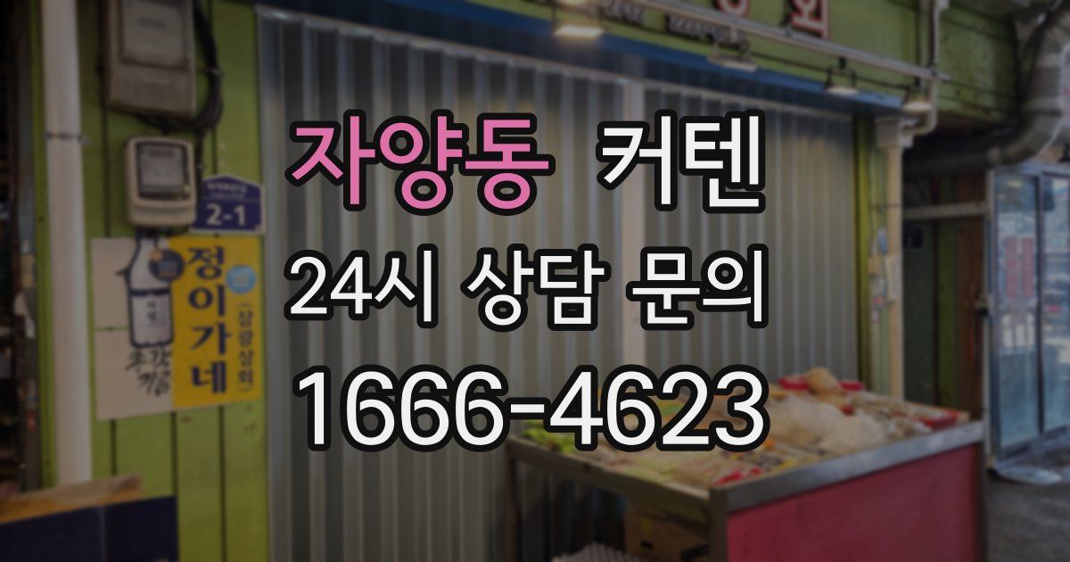 자양동 커텐