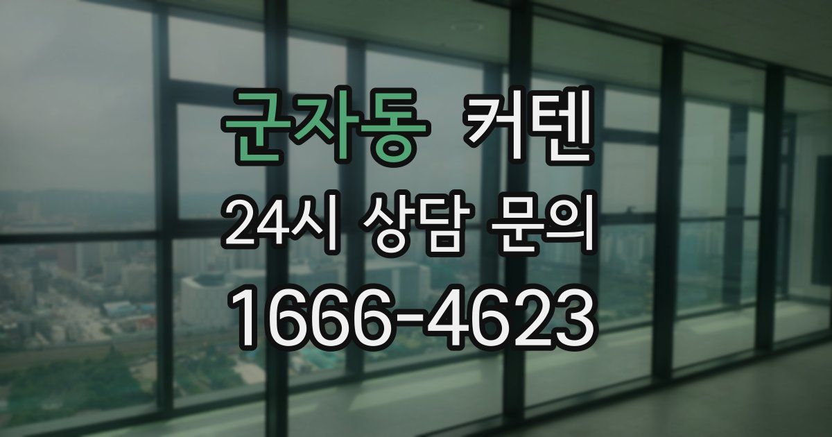 군자동 커텐
