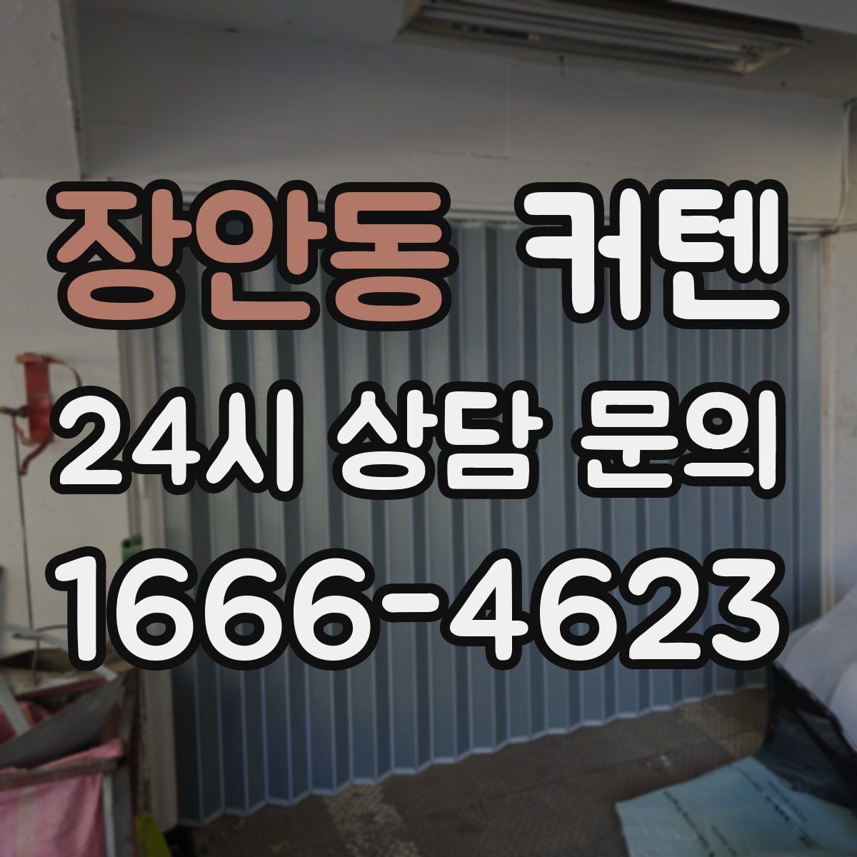 장안동 커텐