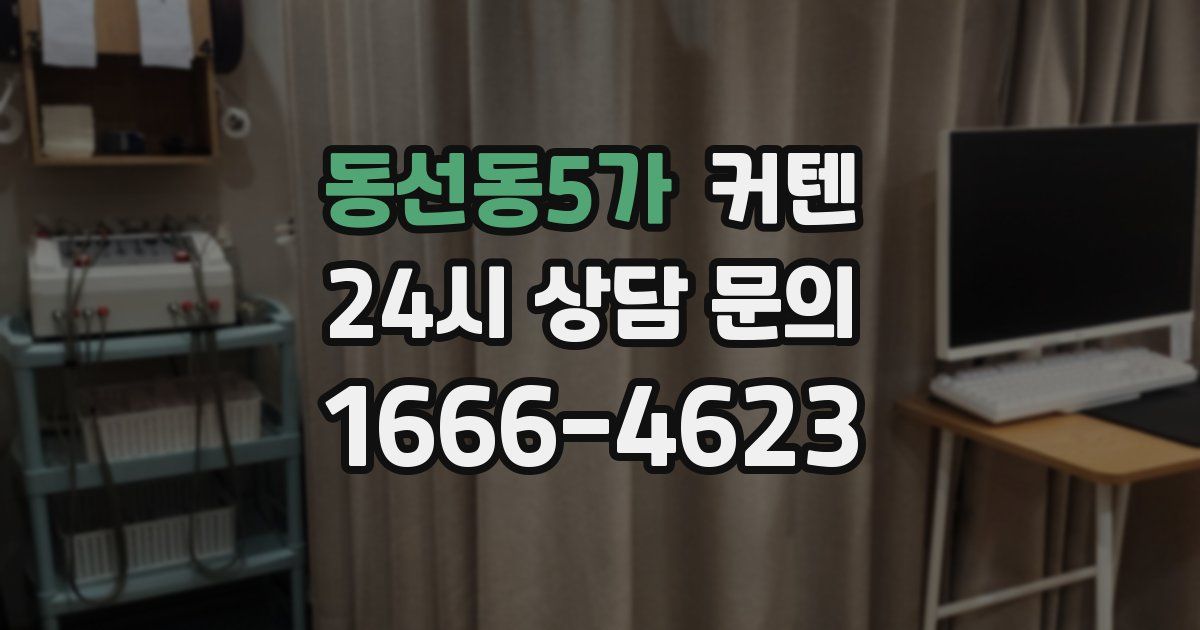 동선동5가 커텐