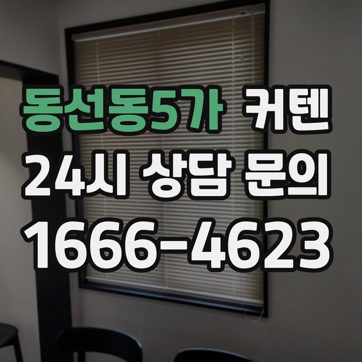 동선동5가 커텐