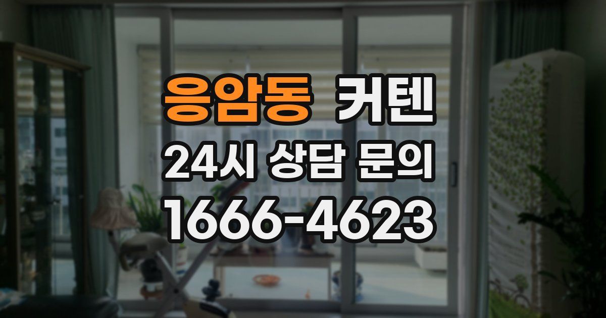 응암동 커텐