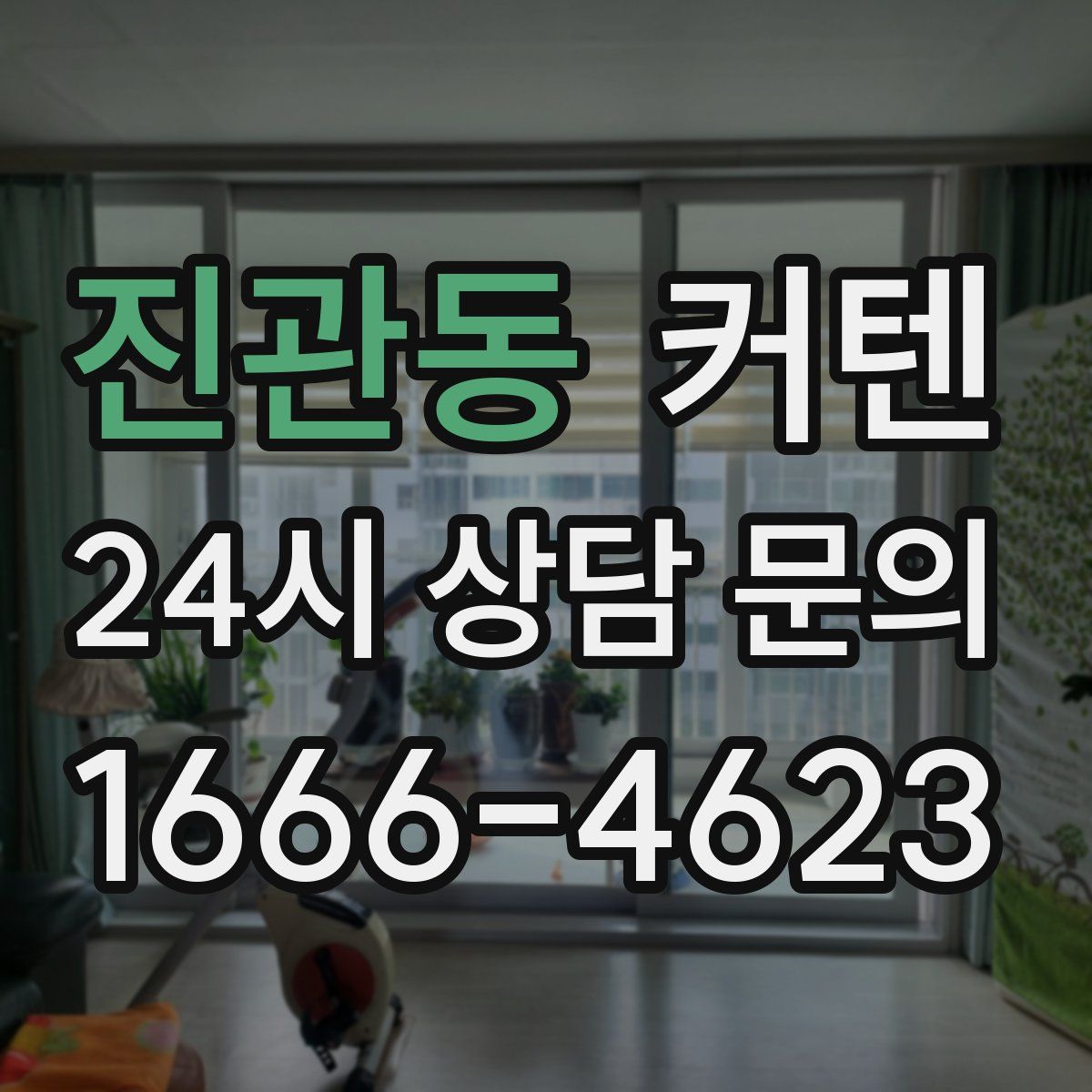 진관동 커텐