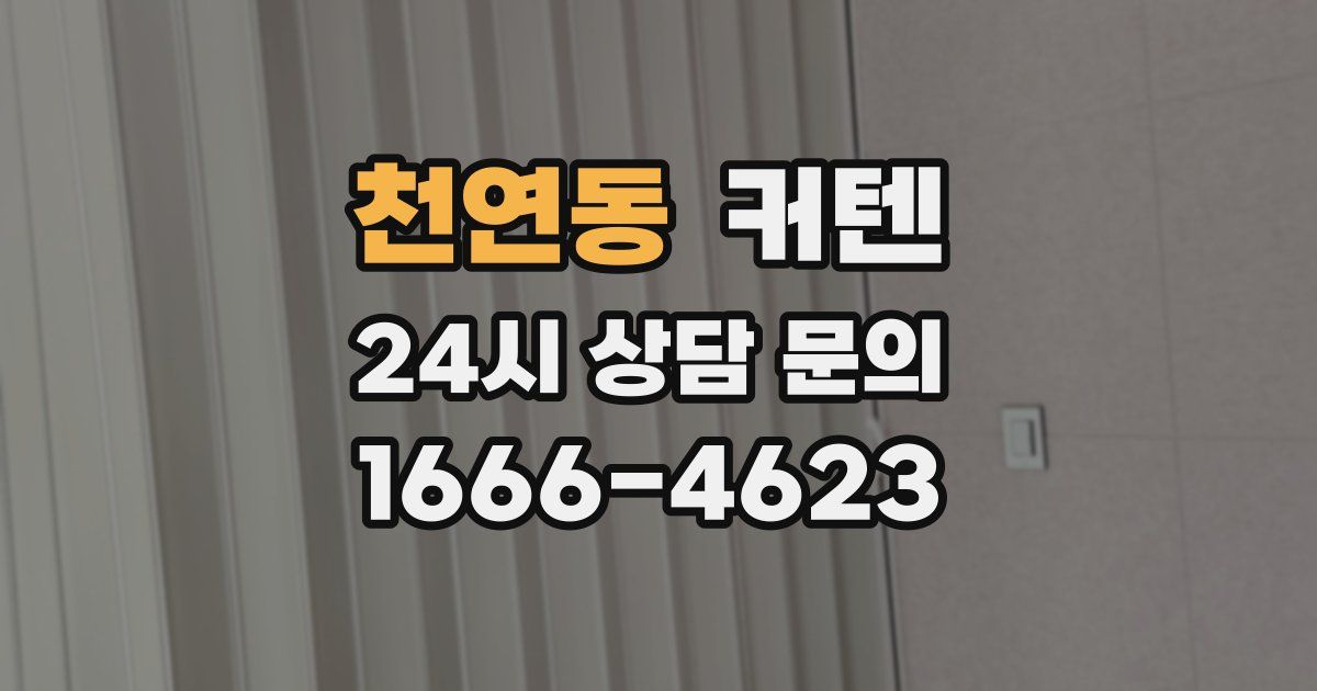 천연동 커텐