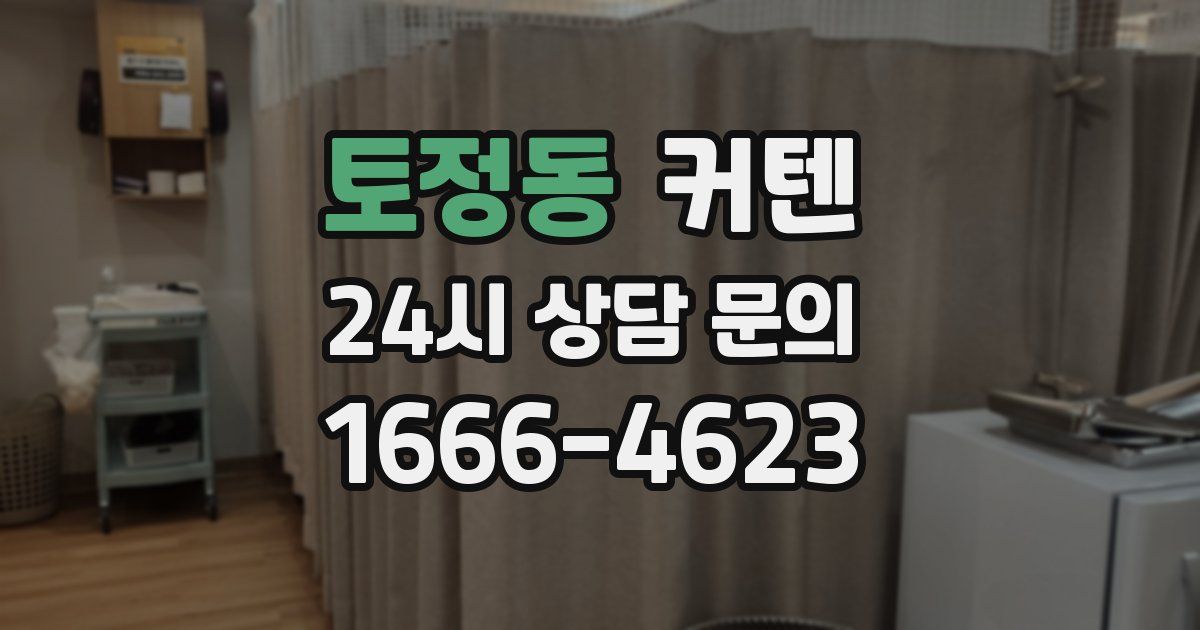 토정동 커텐