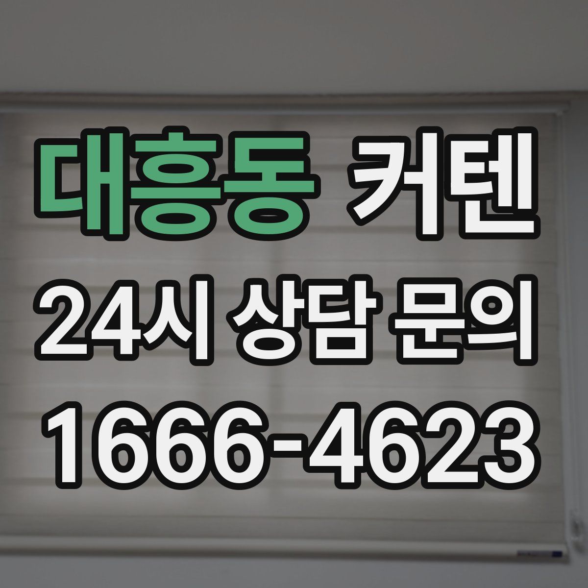 대흥동 커텐