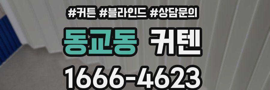 동교동 커텐