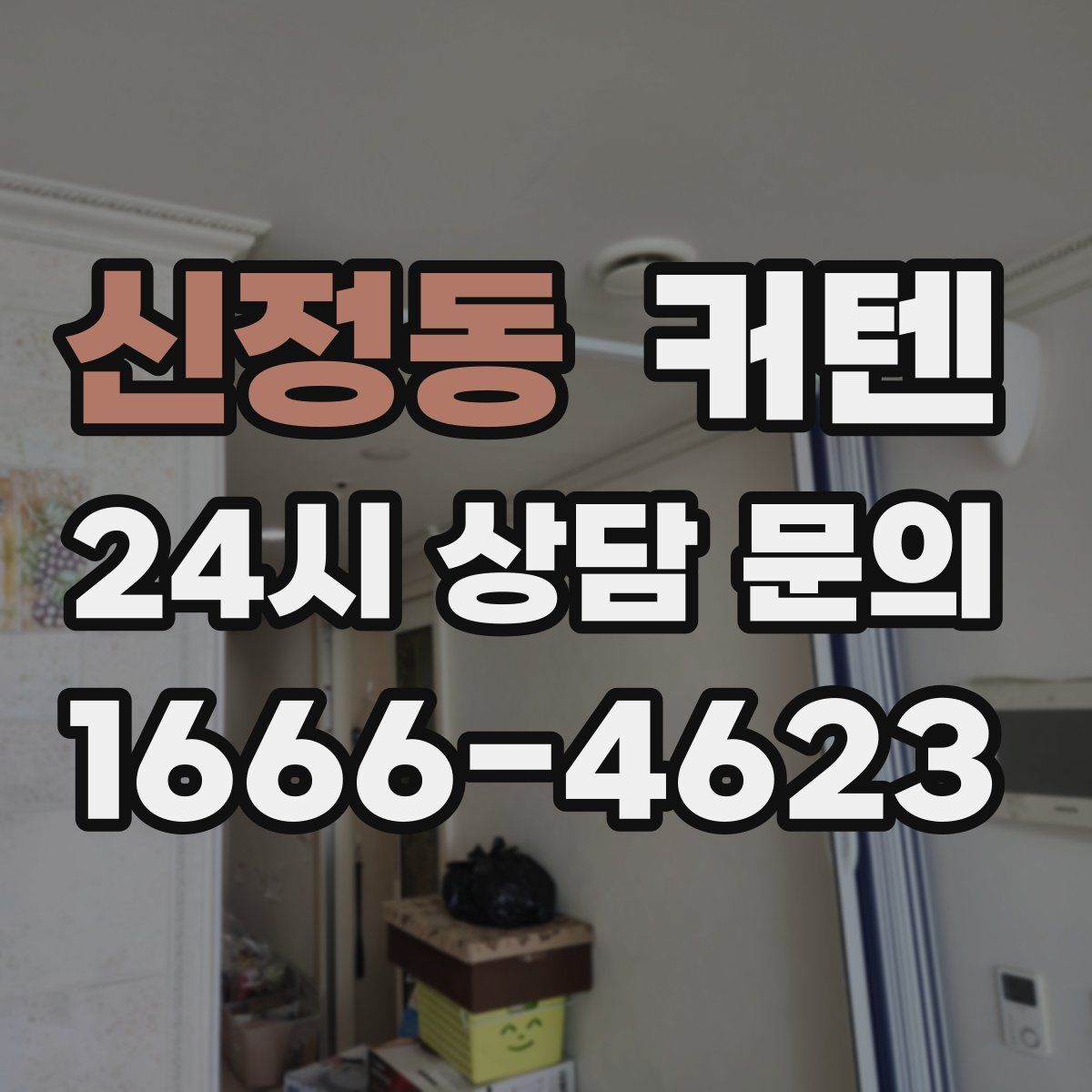 신정동 커텐