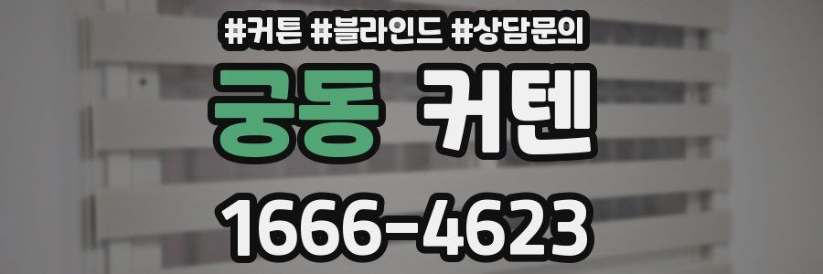 궁동 커텐