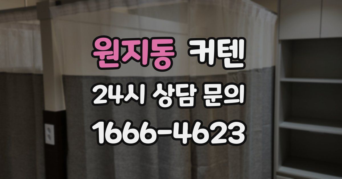 원지동 커텐