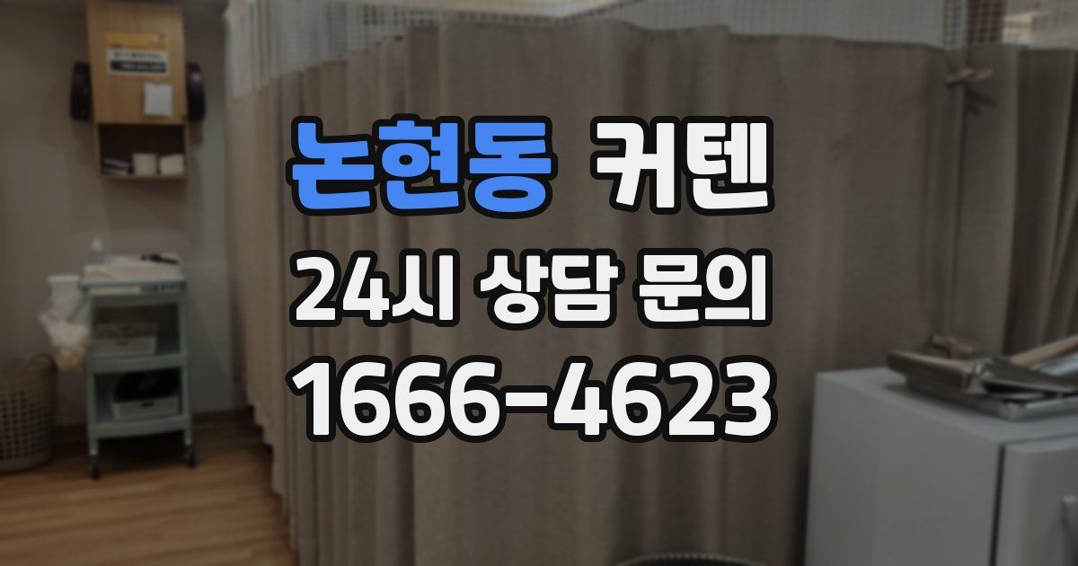 논현동 커텐