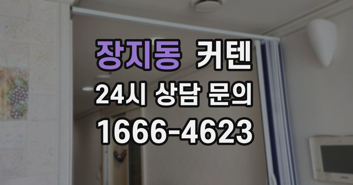 장지동 커텐