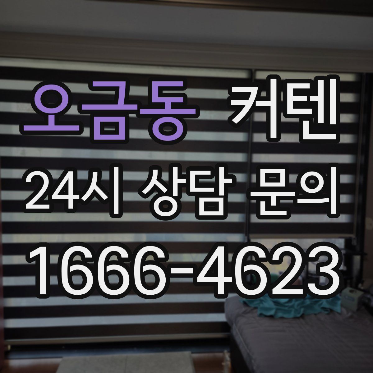 오금동 커텐