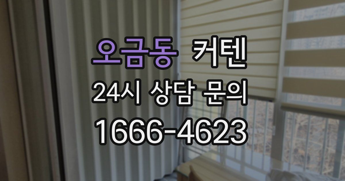 오금동 커텐
