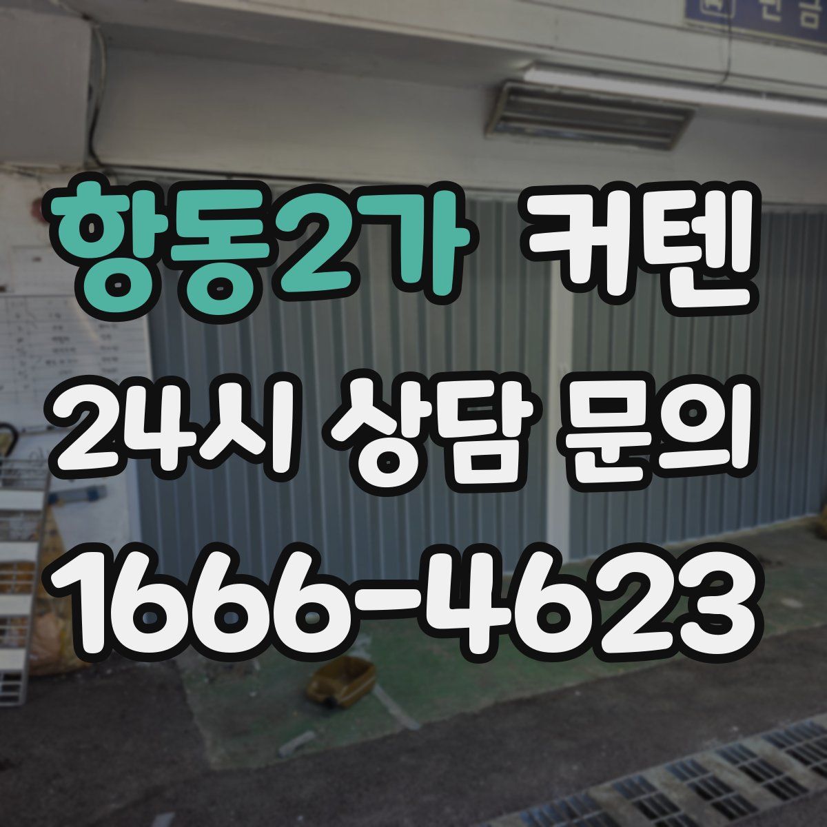 항동2가 커텐