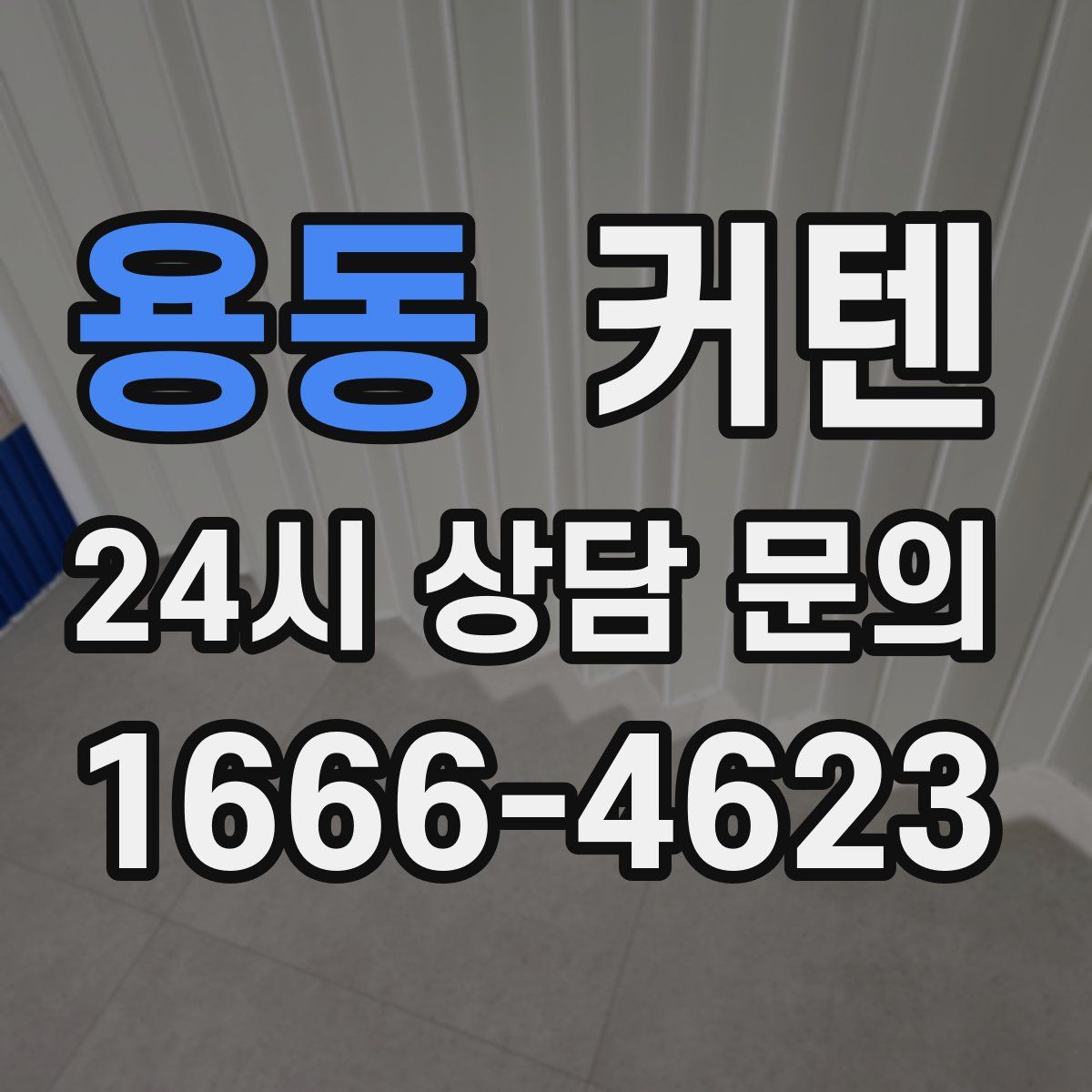 용동 커텐
