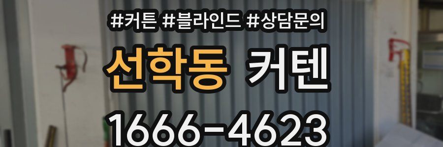 선학동 커텐