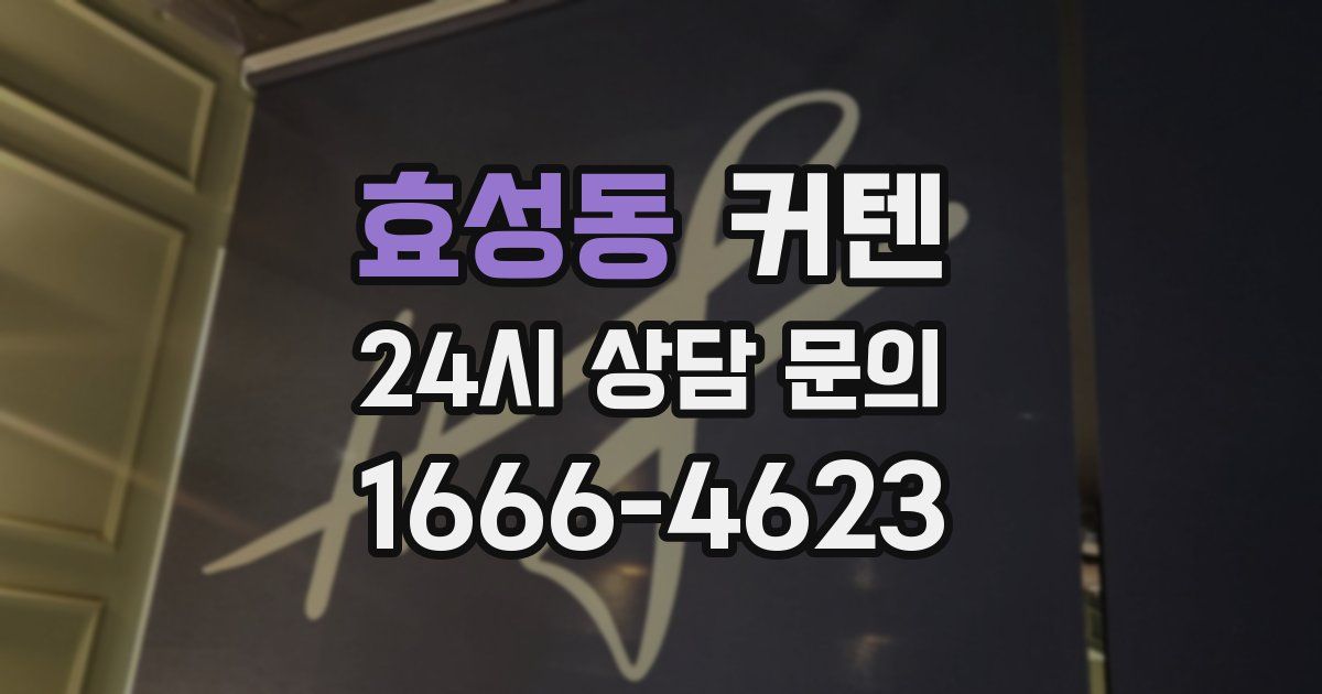 효성동 커텐