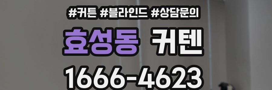 효성동 커텐