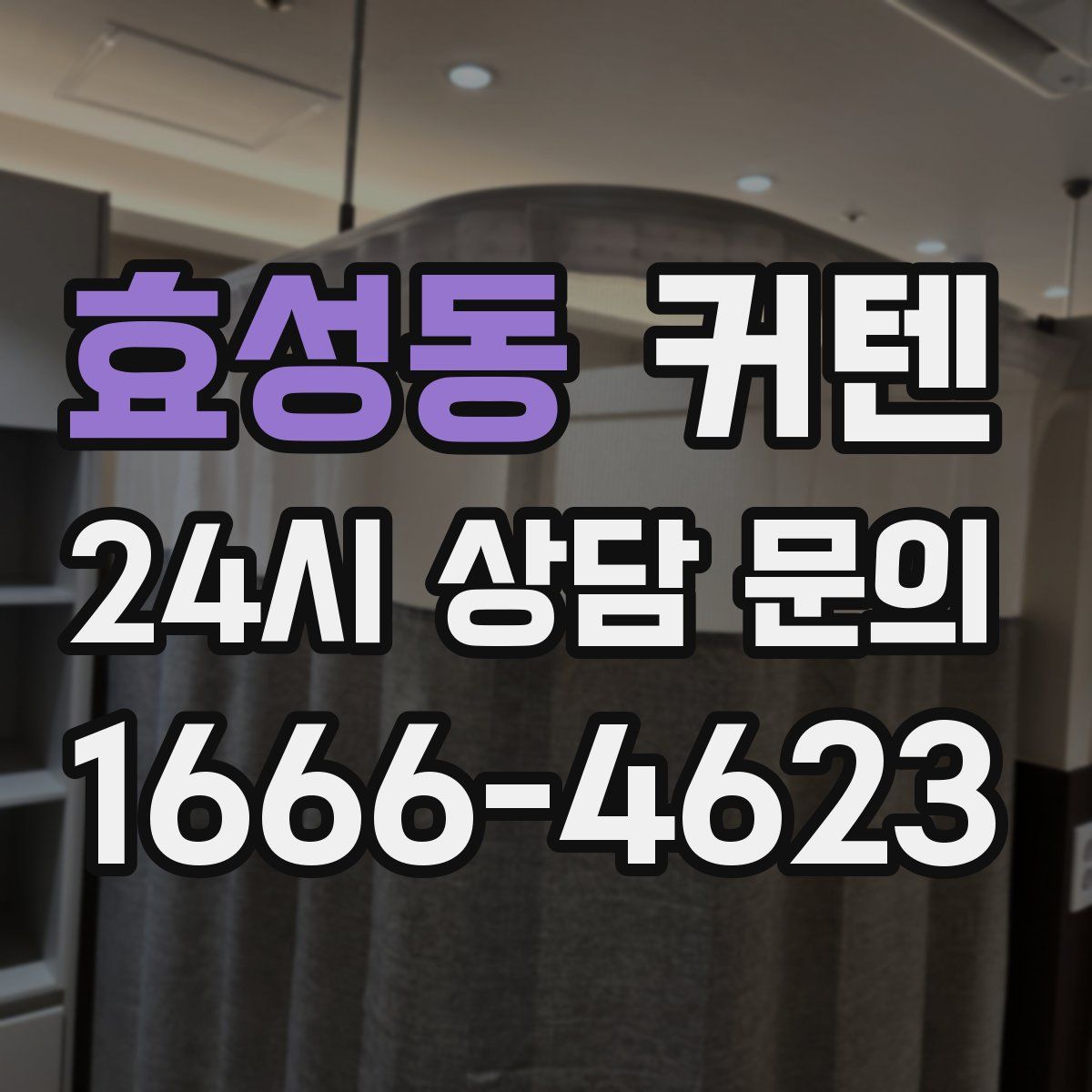 효성동 커텐