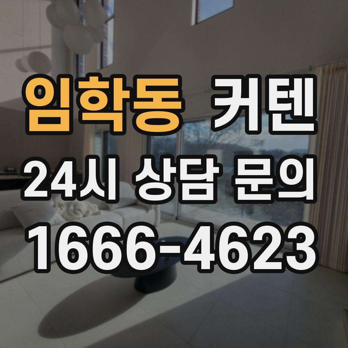 임학동 커텐
