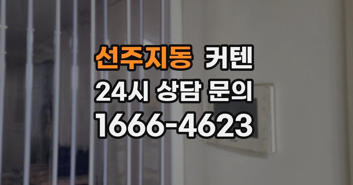 선주지동 커텐