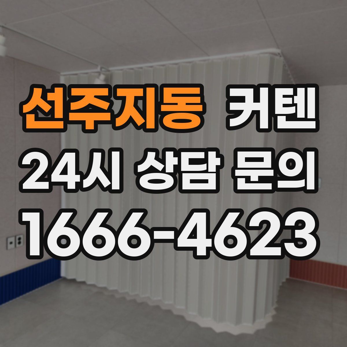 선주지동 커텐