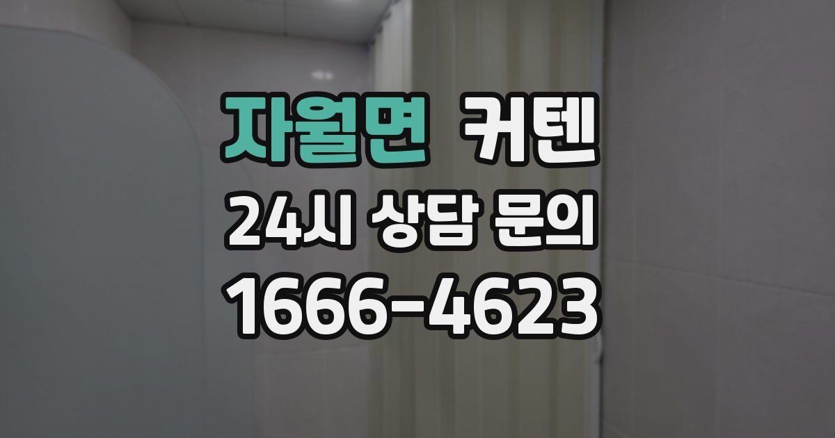 자월면 커텐