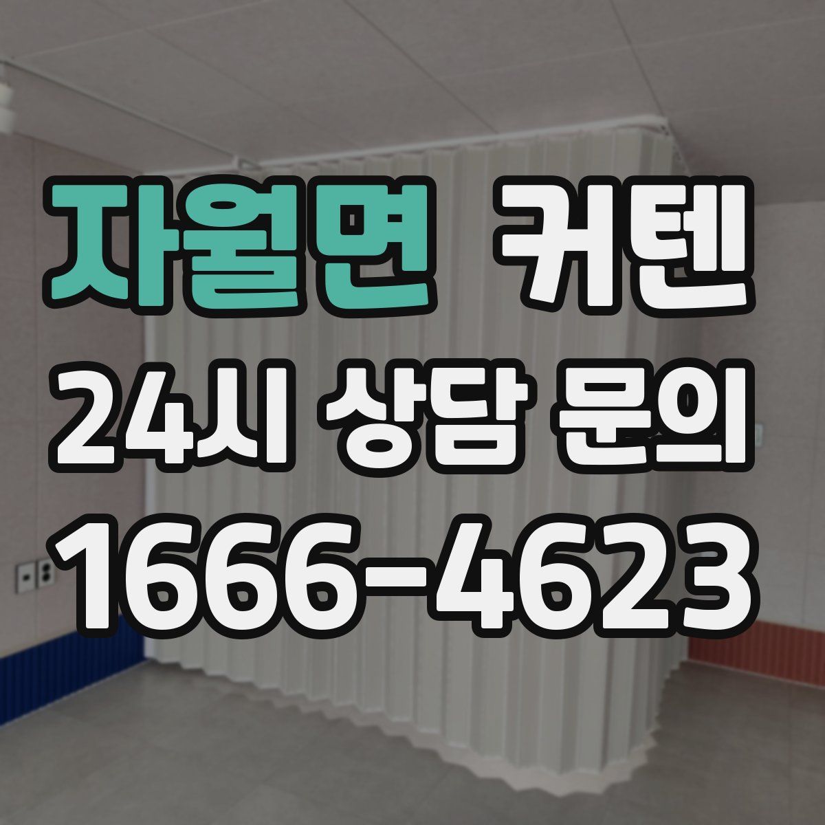 자월면 커텐