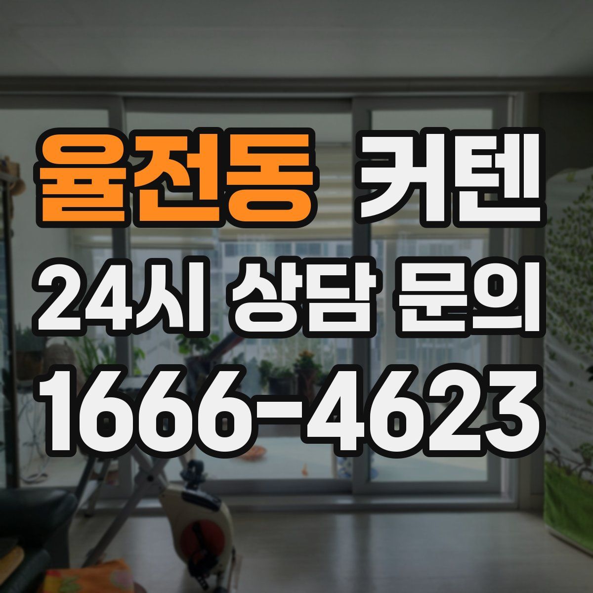 율전동 커텐